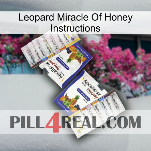 Leopard Miracle Of Honey Instructions 12.jpg